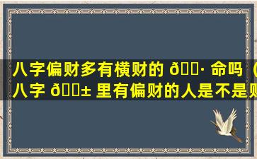 八字偏财多有横财的 🕷 命吗（八字 🐱 里有偏财的人是不是财运好）